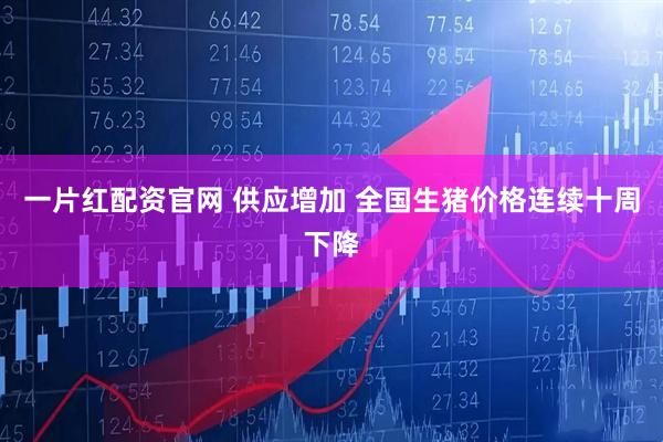 一片红配资官网 供应增加 全国生猪价格连续十周下降
